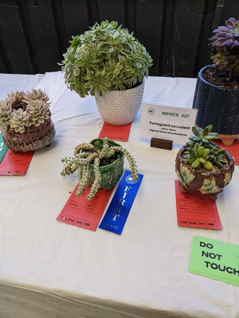 CSSA Spring Show and Plant Sale